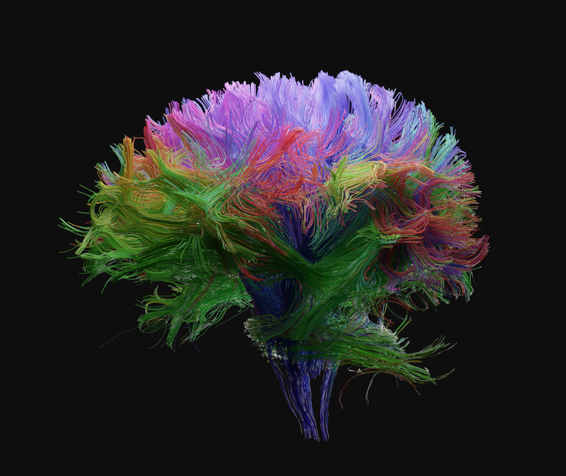 features image