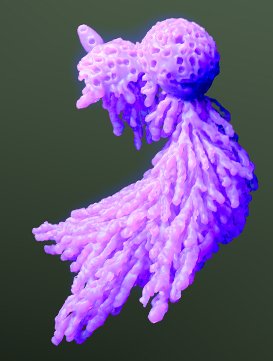 features image