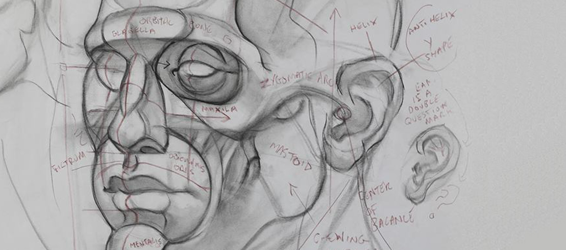 Anime Anatomy Drawing – Create the Body Base of Your Anime